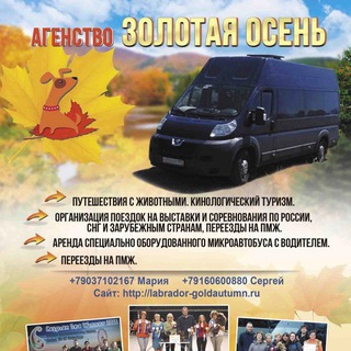 Золотая Осень Поездки на выставки собак